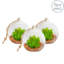 Nicola Spring - Hanging Glass Terrariums - Clear-50928892