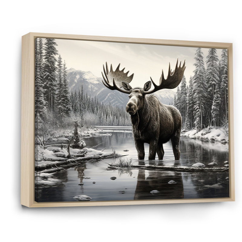 Orignal brun et blanc Winter Majesty - art mural orignal pour le salon, H 16 po x l 32 po, Reproduction avec cadre flottant