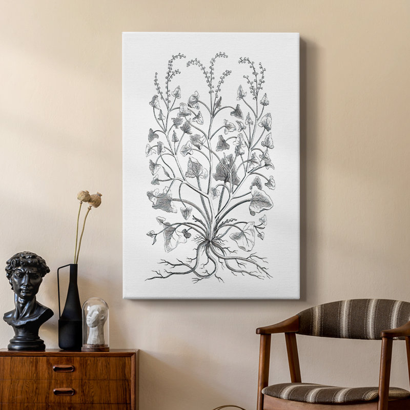 B&W Plant Speciment VIII - Gallery sur mesure, H 27 po x l 18 po
