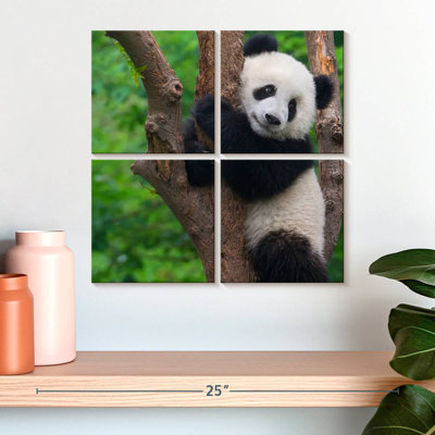 Bramble adorable panda