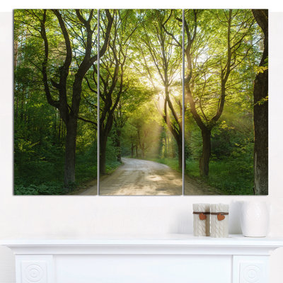 « soirée of green forest », reproduction de photo à multiples images sur toile