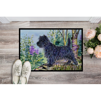Stottville Non-Slip Indoor Doormat