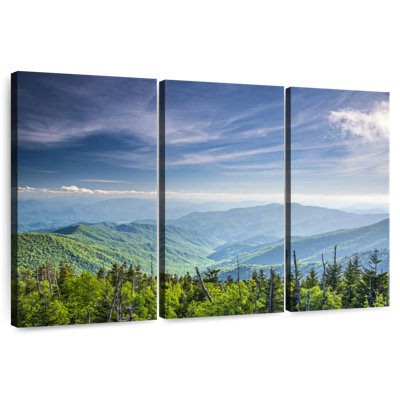 Alvord Clingmans Dome Mountainscape