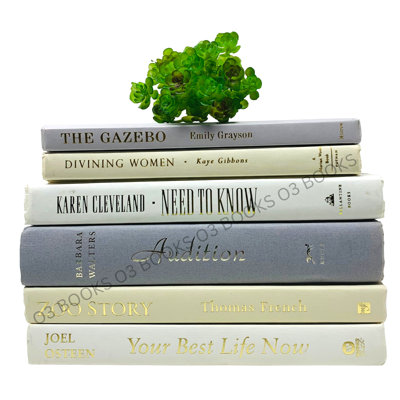 Gray Ivory White Decorative Books