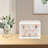 Mabilia Clear Cake Cupcake Bread Display Box Shelf 2-Tier Display Storage Container