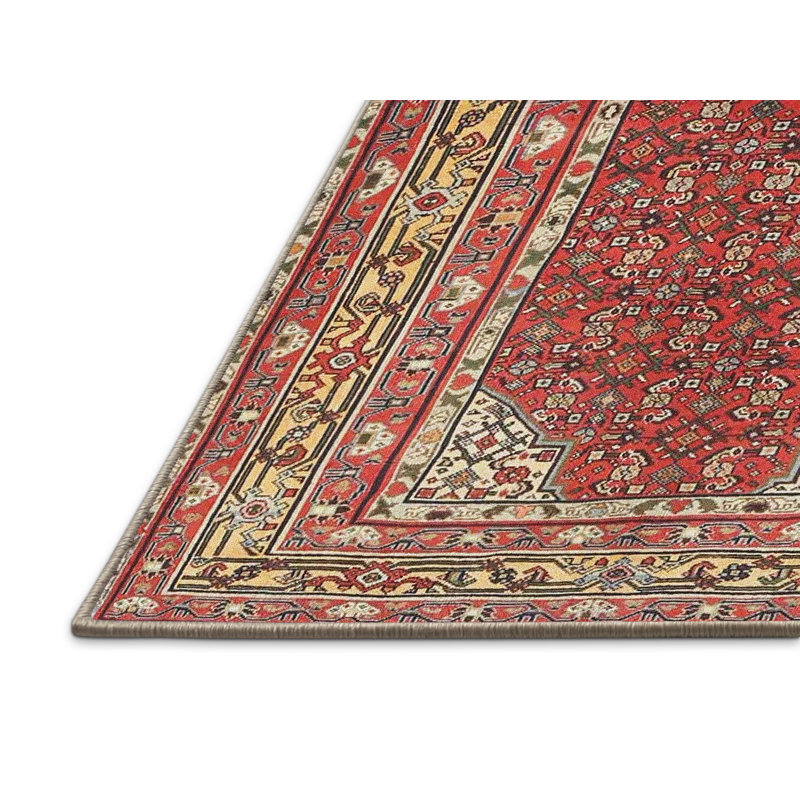 Oriental Indoor Rug, Rectangle 8' x 10'