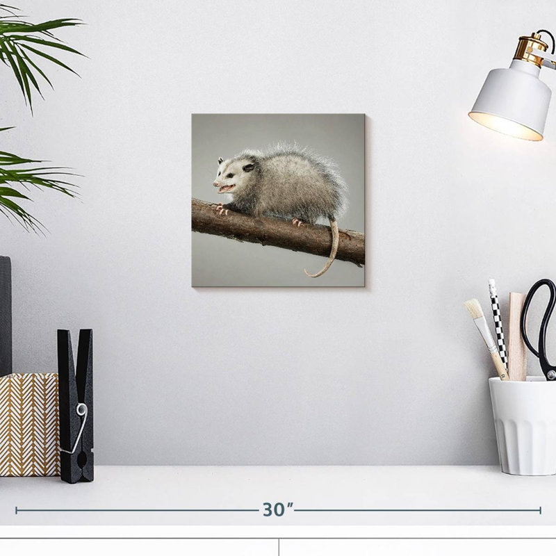 Brampt Snarky Opossum
