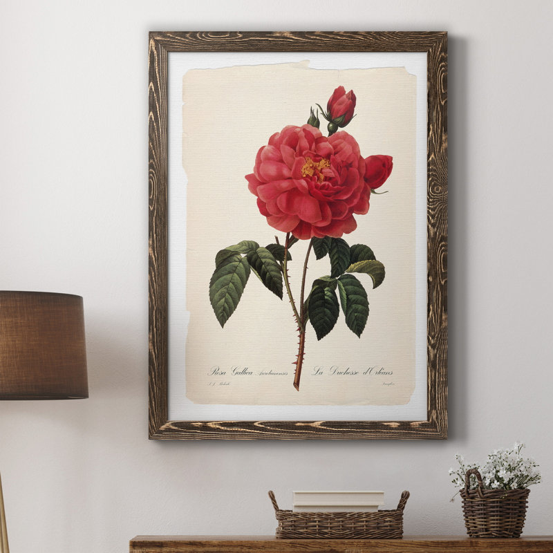 Red Botanical III - cadre photo, impression sur toile, H 24 po x l 18 po x P 1,5 po, Toile avec cadre noyer