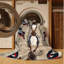  Tapis lavable commun Waxbill Birds-248680187