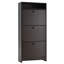 Armoire à chaussures mince-1072013677