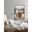 Scottish Highland Cattle - Print-64175048-64175053