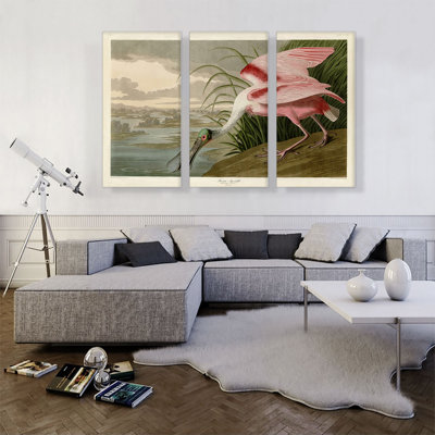 Roseat Spoonbill par James Audubon - ensemble de 3 reproductions d'art sur toiles tendues