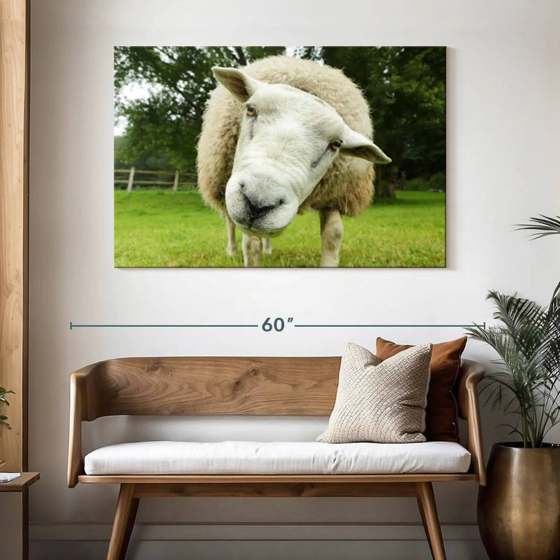 Brampt Nosy Sheep, H 32 po x l 48 po