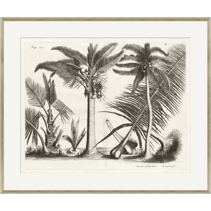 Malaberica Brittanica - Reproduction de photo encadrée sur papier