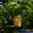 7.4'' Solar Powered Integrated LED Lawn Ornament