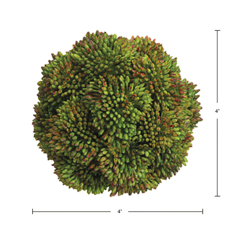 Decorative Sedum Balls, Green