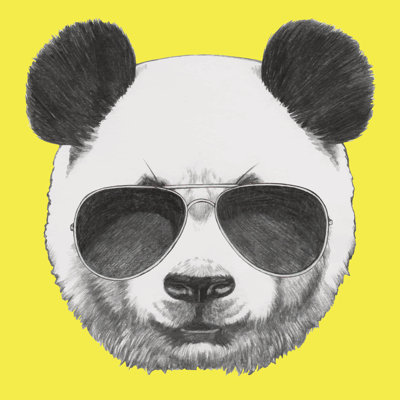 Portrait of Panda 1 Piece Wrapped Canvas Wall Art