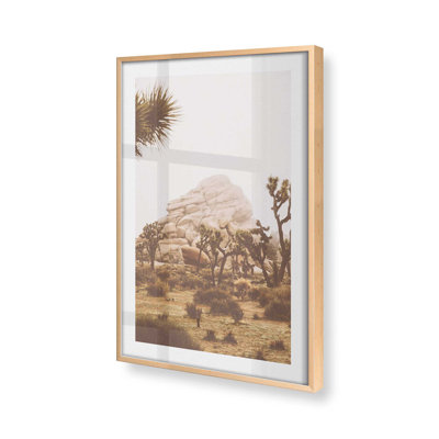 Joshua Tree Vista Print, in a Frame,
