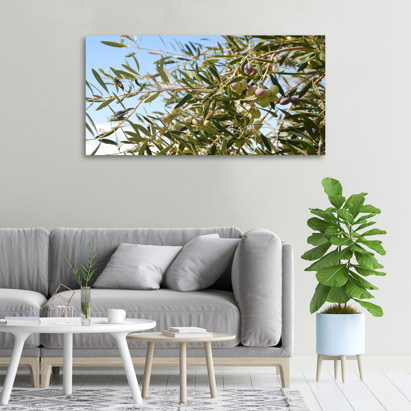 Olive Tree - No Frame Print on Canvas