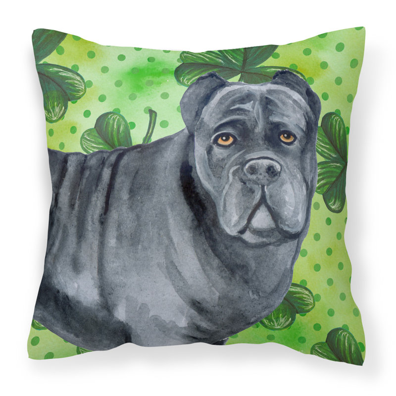 Coussin intérieur/extérieur st patrick, Cane corso 1, 18 po x 18 po
