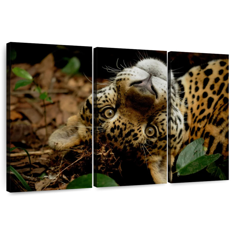 Brampt Lovable Jaguar, 20" H x 33" W