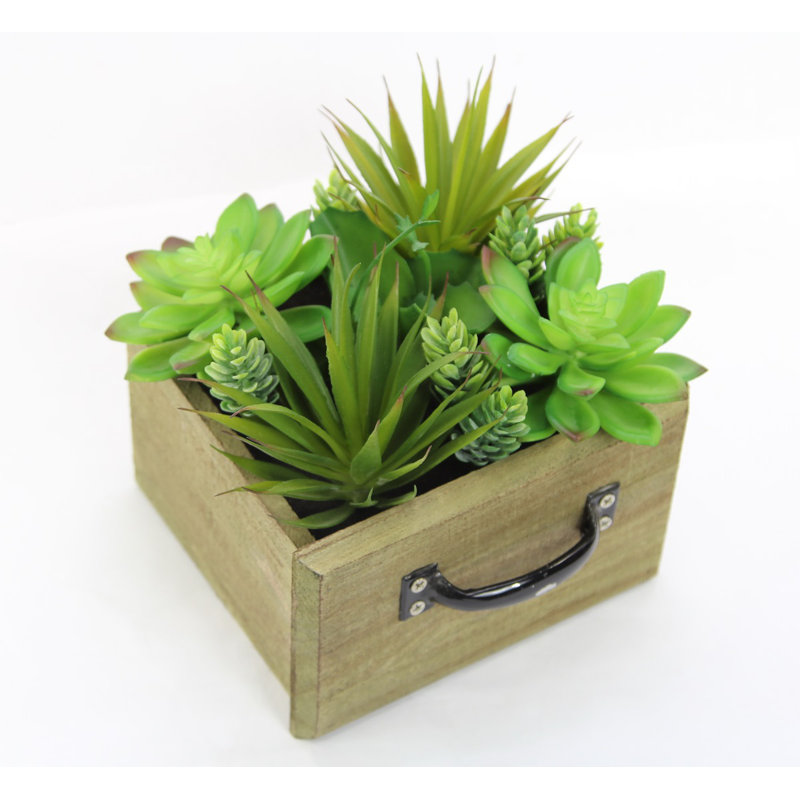 8 " H Faux Succulent Plant