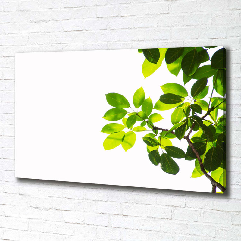 Leaves - No Frame Print on Canvas