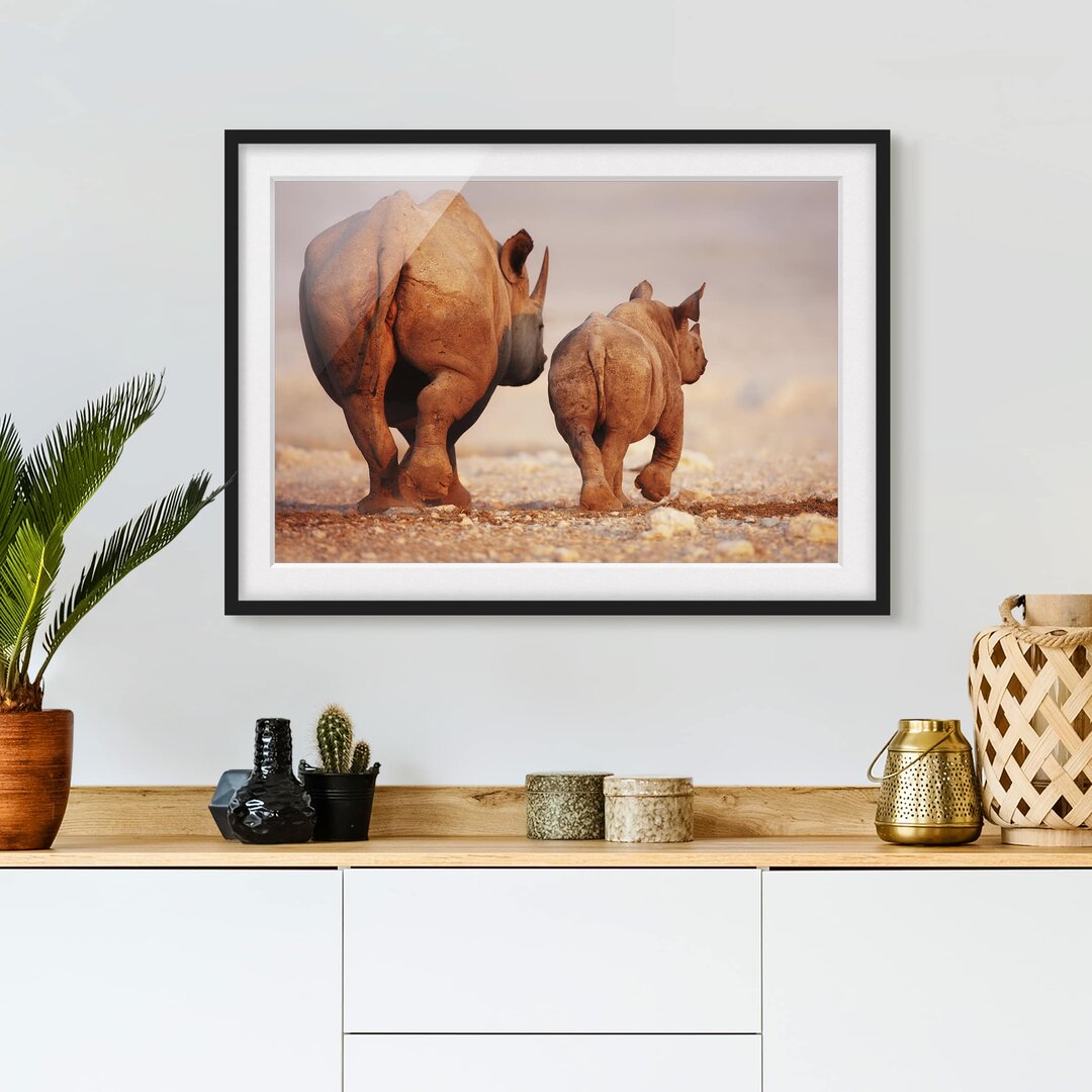 Gerahmtes Poster Wandering Rhinos