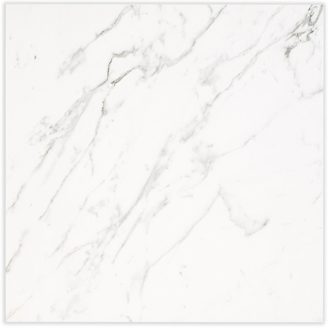 Palazza 24 in. x 24 in. Polished Porcelain Marble Look Floor and Wall Tile Ackland 