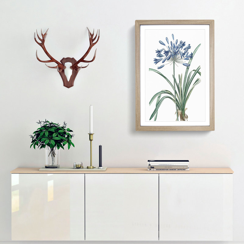 African Lily Flowers by Pierre-Joseph Redoute - Framed Print, Oak Framed, 33cm H x 24cm W x 2cm D
