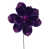 Purple selected