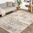 Shockley Faded Floral Performance Beige Rug-1292772429