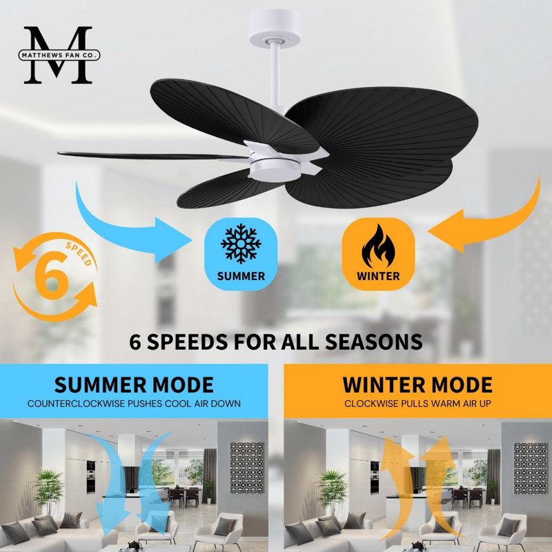 Alessandra Tropical - Five Blade Ceiling Fan - Matte White Finish - Matte White Blades, Matte White, Matte Black