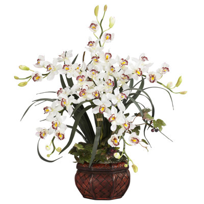 Orchid Arrangement in Pot