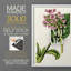 AntiqueFloralFolio III - reproduction encadrée de qualité supérieure - prête à être accrochée - aucun clou requis - aucun clou requis-488776893-488776839