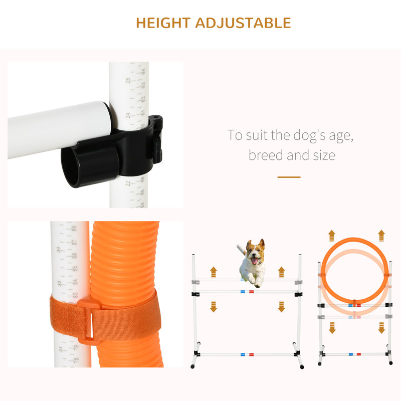 Adjustable Dog Agility Training Set with Jump Ring and Hurdle