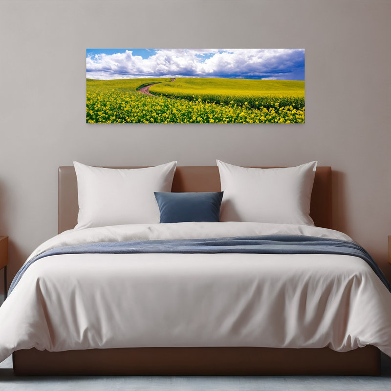 Road Canola Field Washington State USA by Terry Eggers - Wrapped Canvas Panoramic Print, 40.64 cm H x 121.92 cm W