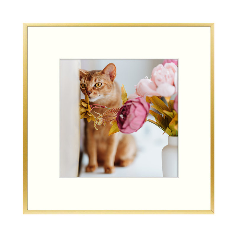 Benonie Metal Matte Picture Frame with Mat, Gold