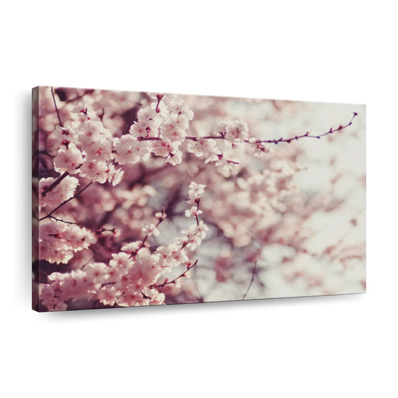 Fleurs de cerisier délicates sur toile, H 34 po x l 51 po x P 1,25 po