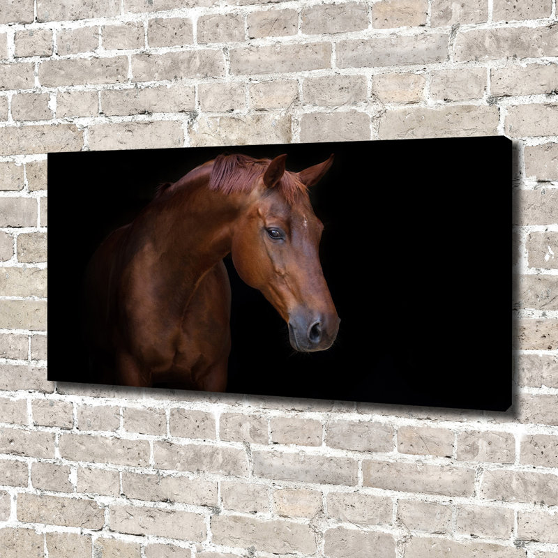 Brown Horse - Wrapped Canvas Print, 70cm H x 140cm W