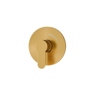 Identity Single Handle Shower Valve Trim