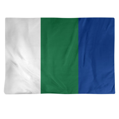 Récapitulatif en coton 18" retour football Seattle