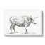 Sketch Of A Bull by Jean Bernard - Wrapped Canvas Print-55318451
