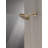 PivotPro Rain Showerhead, Single Setting 7 Inch Round Shower Head Brushed Gold-116423694