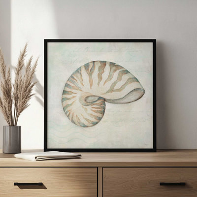 «Seashells IV» par Mollie B., reproduction d'art