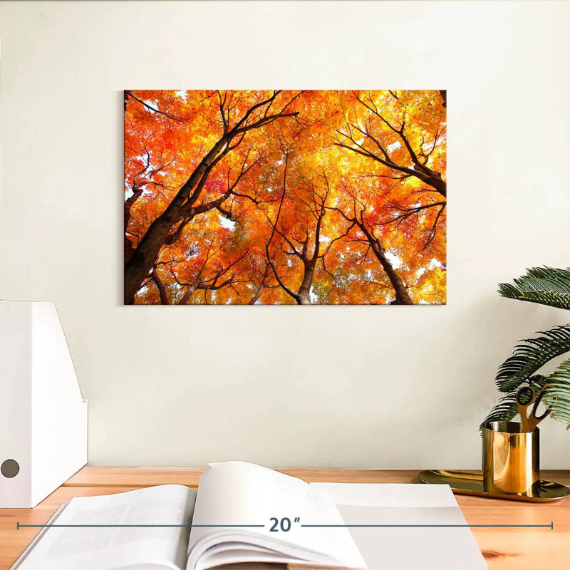 Alvord Maple Tree Autumn Canopy, 8" H x 12" W