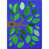 Vert/Bleu