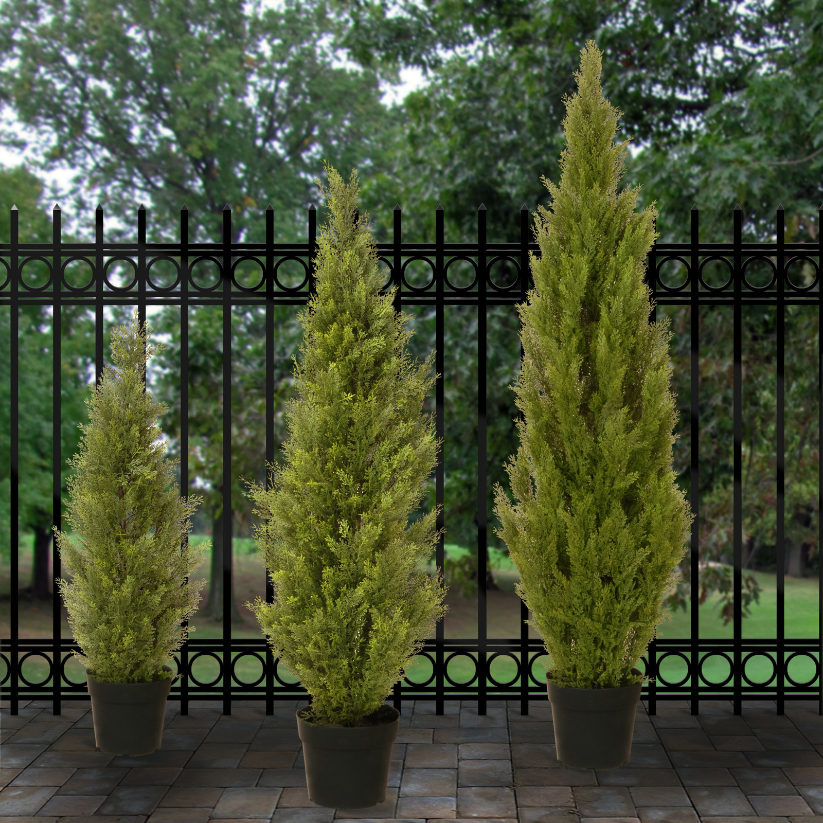 Cedar Topiary in Pot, 60" H x 13" W x 13" D