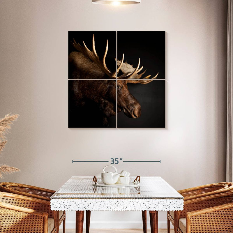 Brampt Antlered Moose, 38'' H x 38'' W
