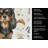 Black and Tan Cavalier Spaniel Coffee Bar Kitchen Towel-1168063376